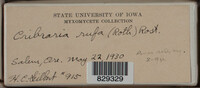 Image Associated With the Occurence